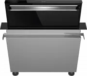 model-name