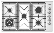 model-name