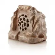 model-name