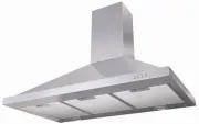 model-name