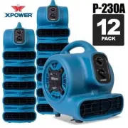 XPOWER P-230AT-PK12