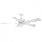 model-name