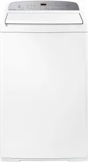 Fisher & Paykel WA8060G1