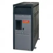 Raypak 14784