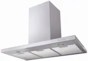 model-name