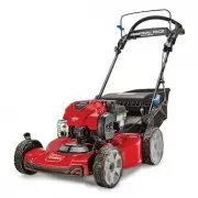 Toro 21463