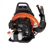 ECHO PB-755ST