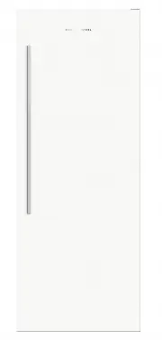 Fisher & Paykel RF388FRDW1