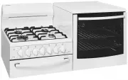 model-name