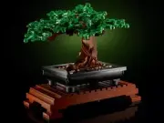 model-name