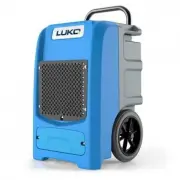 EdenDirect DHDE140910