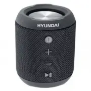 Hyundai H-PAC300