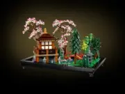 model-name