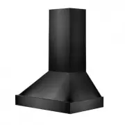 model-name
