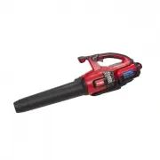 Toro 51822