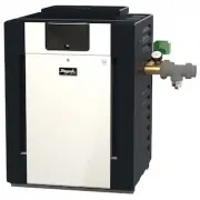 Raypak 13731