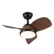 model-name