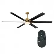 Parrot Uncle BBCPD1719-I-NBR
