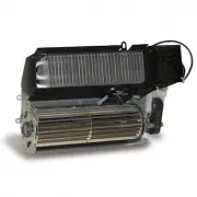 Cadet 307