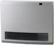 model-name