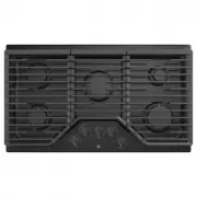 GE JGP5036DLBB