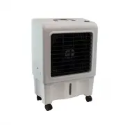 Dial PEC-A-1300-1M