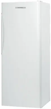Fisher & Paykel E388RWW