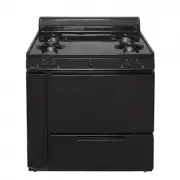 Premier BLK100BP