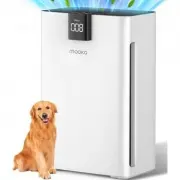 EdenDirect DEHA121212