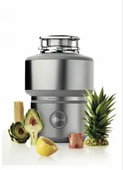 InSinkErator 200
