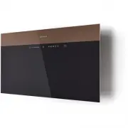 model-name