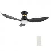 CARRO USA LS453V-L12-B2-1-FM