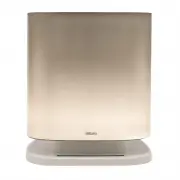 model-name