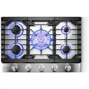FOTILE GLS30501