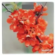 model-name