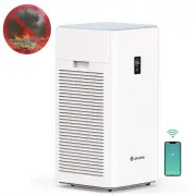 EdenDirect BJ352RY23062601