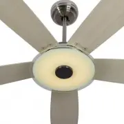 model-name