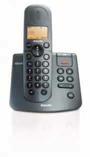 model-name