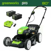 Greenworks 2500402