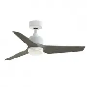 model-name