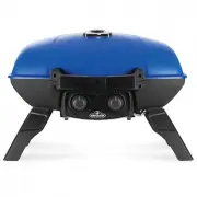 model-name