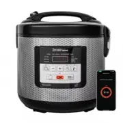RED solution SkyCooker RMC-M224S