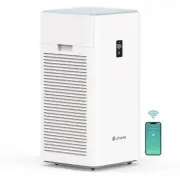 EdenDirect DHDE140944