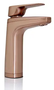 model-name