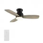 CARRO USA LS443Q-L12-BO-1