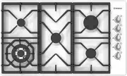 model-name
