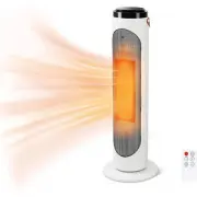 EdenDirect YY-31005