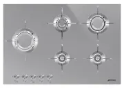 model-name
