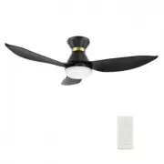 CARRO USA LS453V-L22-B2-1-FM
