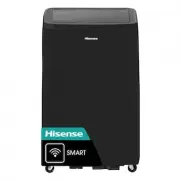 Hisense AP1022CW1G